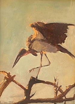 Oil on Canvas Maribu Stork  SOLD   2022